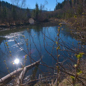 ������ ����. �������