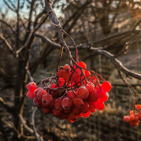 �������