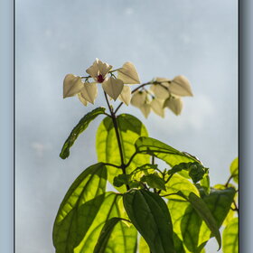 Новые фотографии. Природа