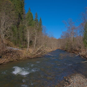 ������ ����. �������