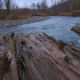 ������ ����. �������