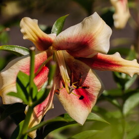 �������