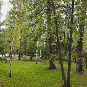 ����. ������. �������