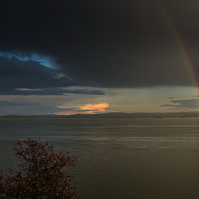 ������ ����. �������