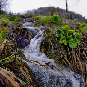 ������ ����. �������