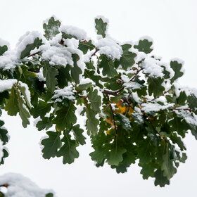 Новые фотографии. ПРИРОДА