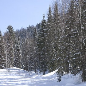 ����. ���� �� �����������. ���������� �� �����������