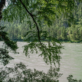 ������ ����. �����������