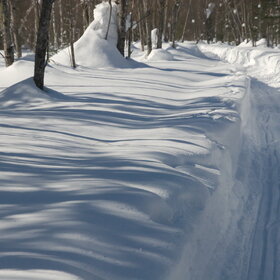 ������ ����. �����������