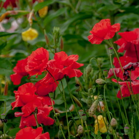 �������