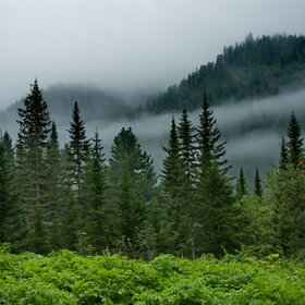 ����� ����. ���������� �� �����������