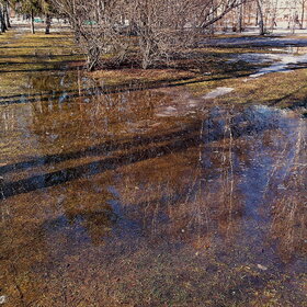 ������ ����. �������