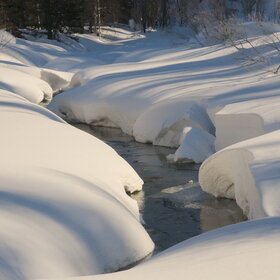 ������ ����. ���������� �� �����������