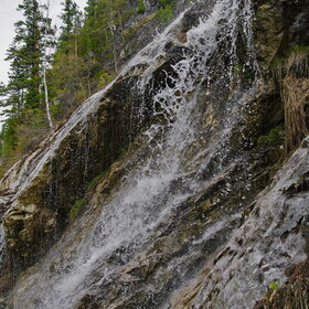 ������ ����. �������