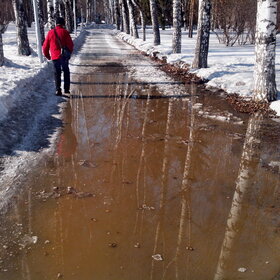 ����� ����. �������