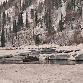 ������ ����. ���������� �� �����������