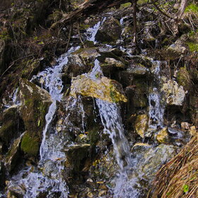 ����. ������. �������