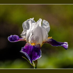 Новые фотографии. ПРИРОДА