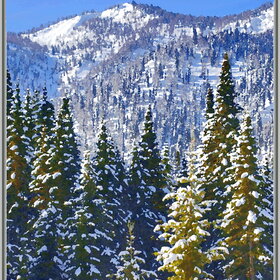 ����. ���� �� �����������. ���������� �� �����������