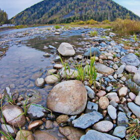 ������ ����. ���������� �� �����������