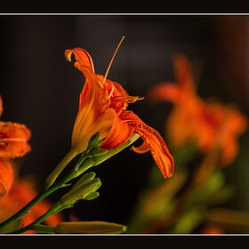 Новые фотографии. ПРИРОДА