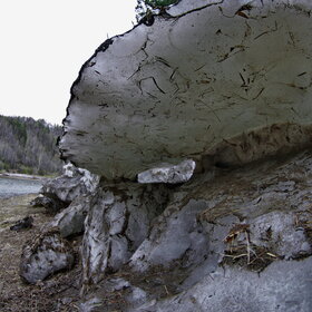 ������ ����. �������