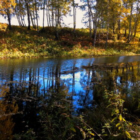 ����. ������. �������