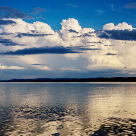 ����. ������. �������