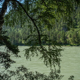 ����. ���� �� �����������. ���������� �� �����������