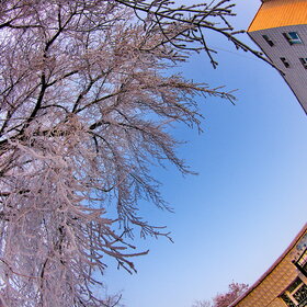 ����. ������. �������