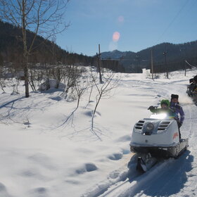 ����� ����. �����������