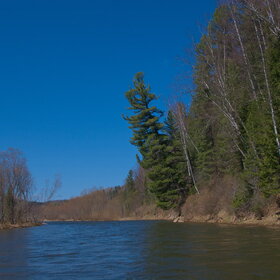 ������ ����. �������