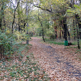 Осенний парк