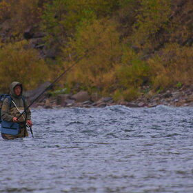 ������ ����. ���������� �� �����������