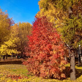 Лучшие фото. ПРИРОДА (0)