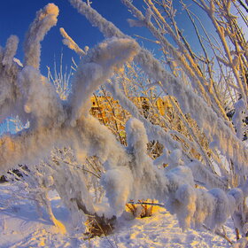 ����. ������. �������