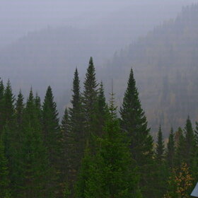 ������ ����. ���������� �� �����������