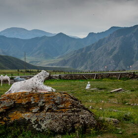 ���������� �� �����������