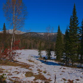 ������ ����. ���������� �� �����������