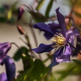 ����. ������. �������