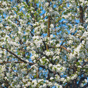 Новые фотографии. ПРИРОДА