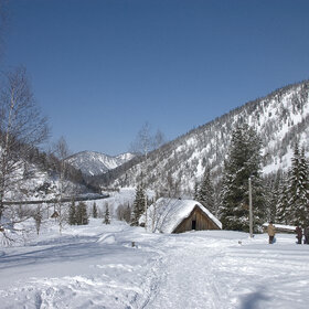 ����� ����. ���������� �� �����������