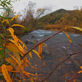 ������ ����. ���������� �� �����������