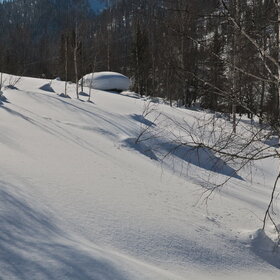 ������ ����. ���������� �� �����������