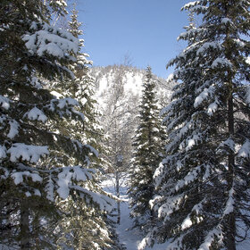 ���� �� �����������