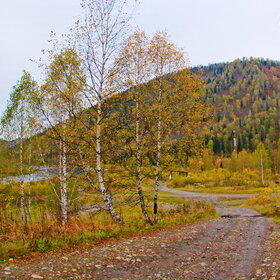 ����. ���� �� �����������. ���������� �� �����������