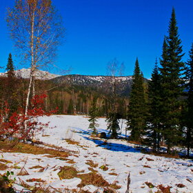 ������ ����. ���������� �� �����������