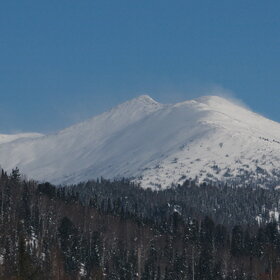 ����� ����. ���������� �� �����������