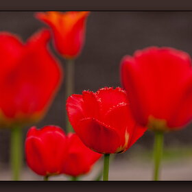 Новые фотографии. ПРИРОДА