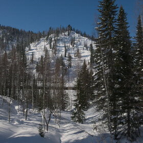 ����. ���� �� �����������. ���������� �� �����������